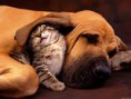 /album/photos-of-everything-we-love/a5-jpg/