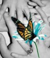 /album/photos-of-everything-we-love/a9-jpg/